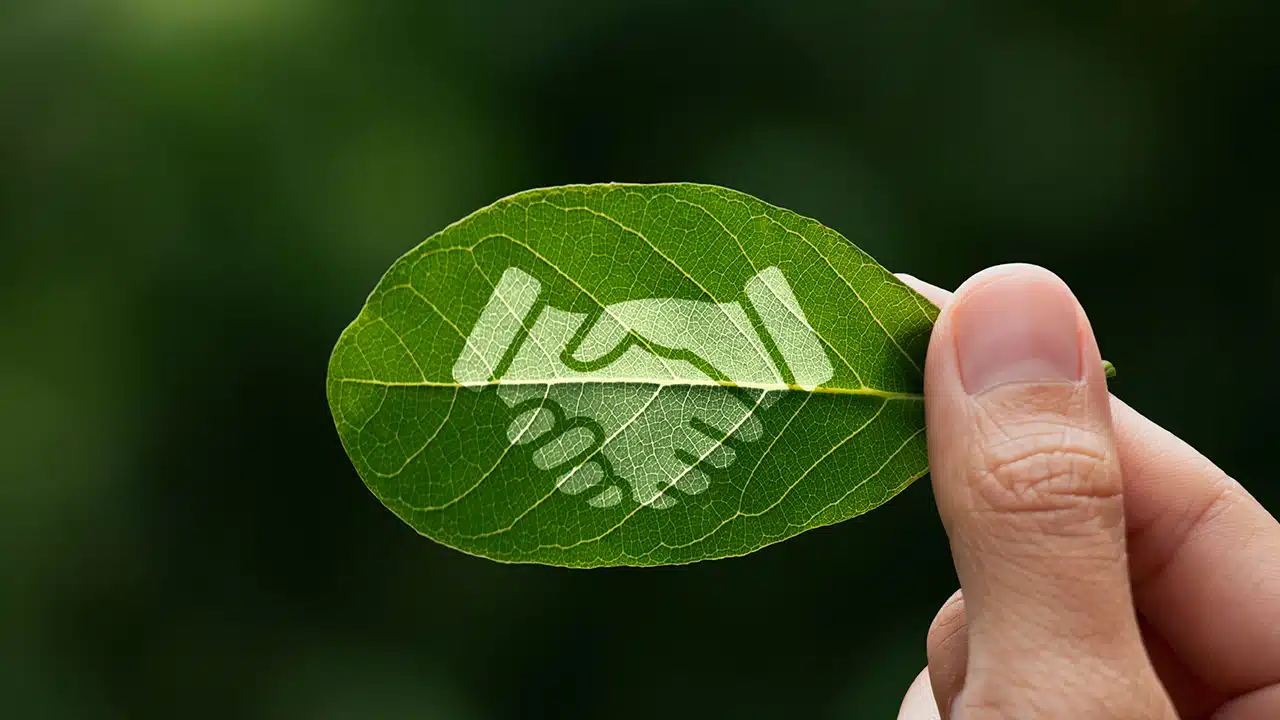 How to Write ESG Report