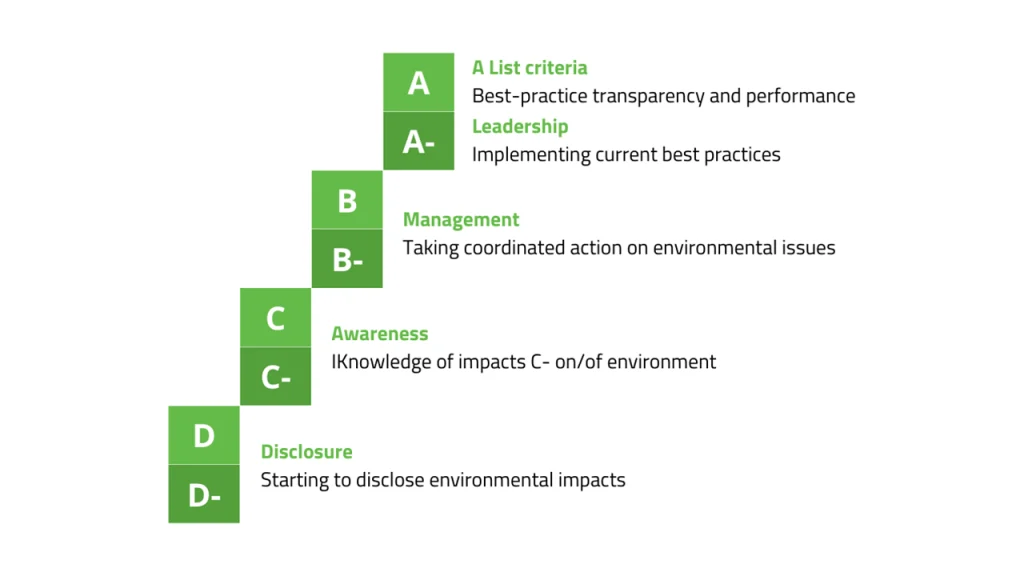 CDP Score