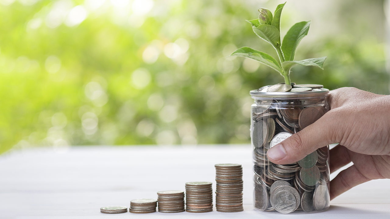 what does greenwashing mean in sustainable investing