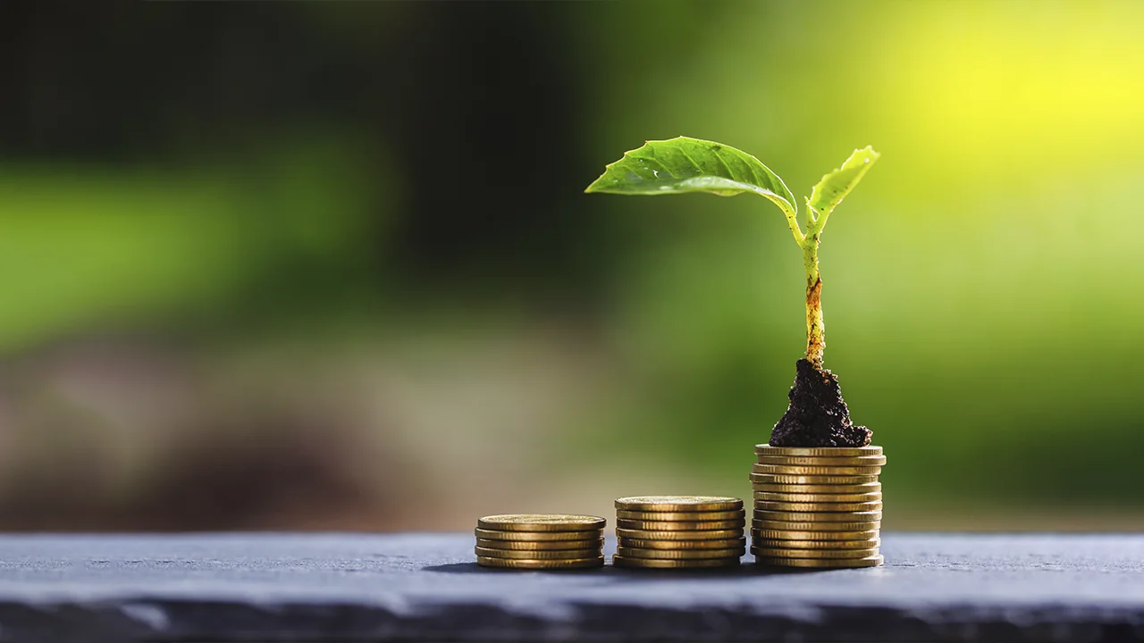 sustainable economic growth, Economic Sustainability