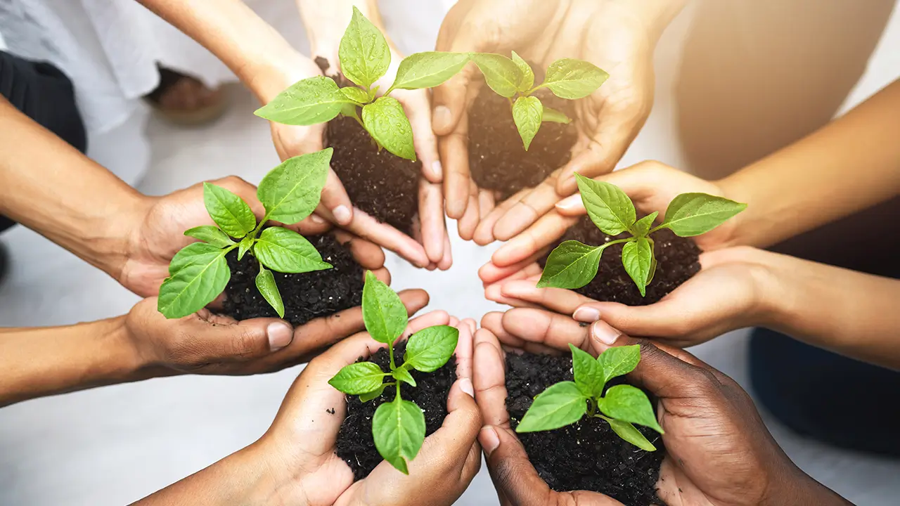 Carbon Neutral, Environmental Sustainability