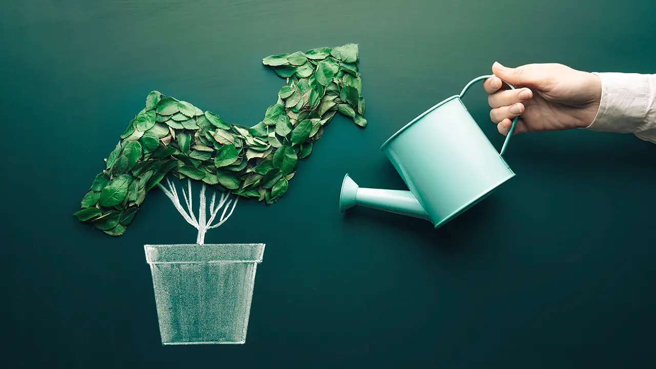 SEC Sustainability Reporting