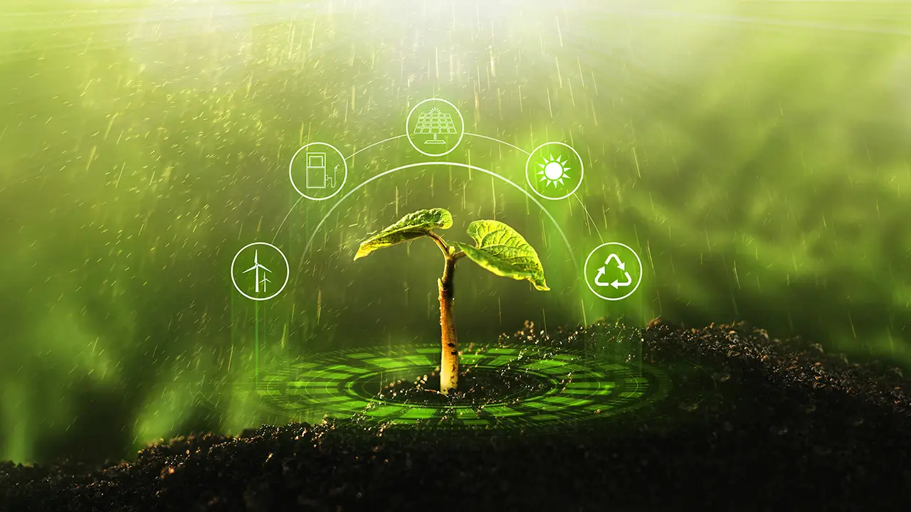 environmental sustainability