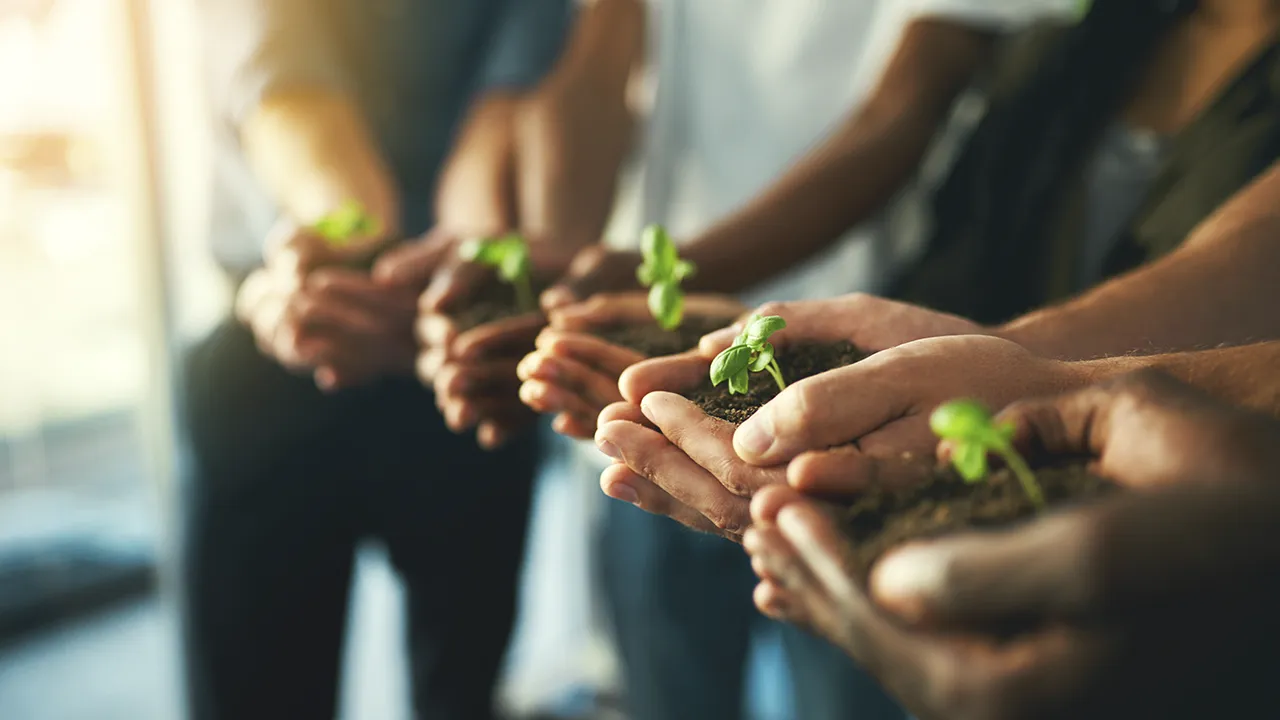 greenwashing companies