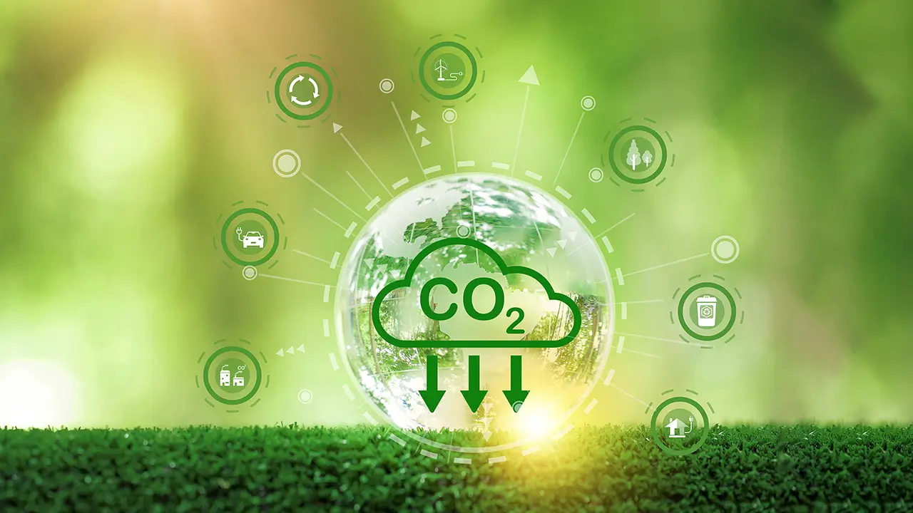 How to Reduce Scope 3 Emissions, Scope 3 Emissions Categories