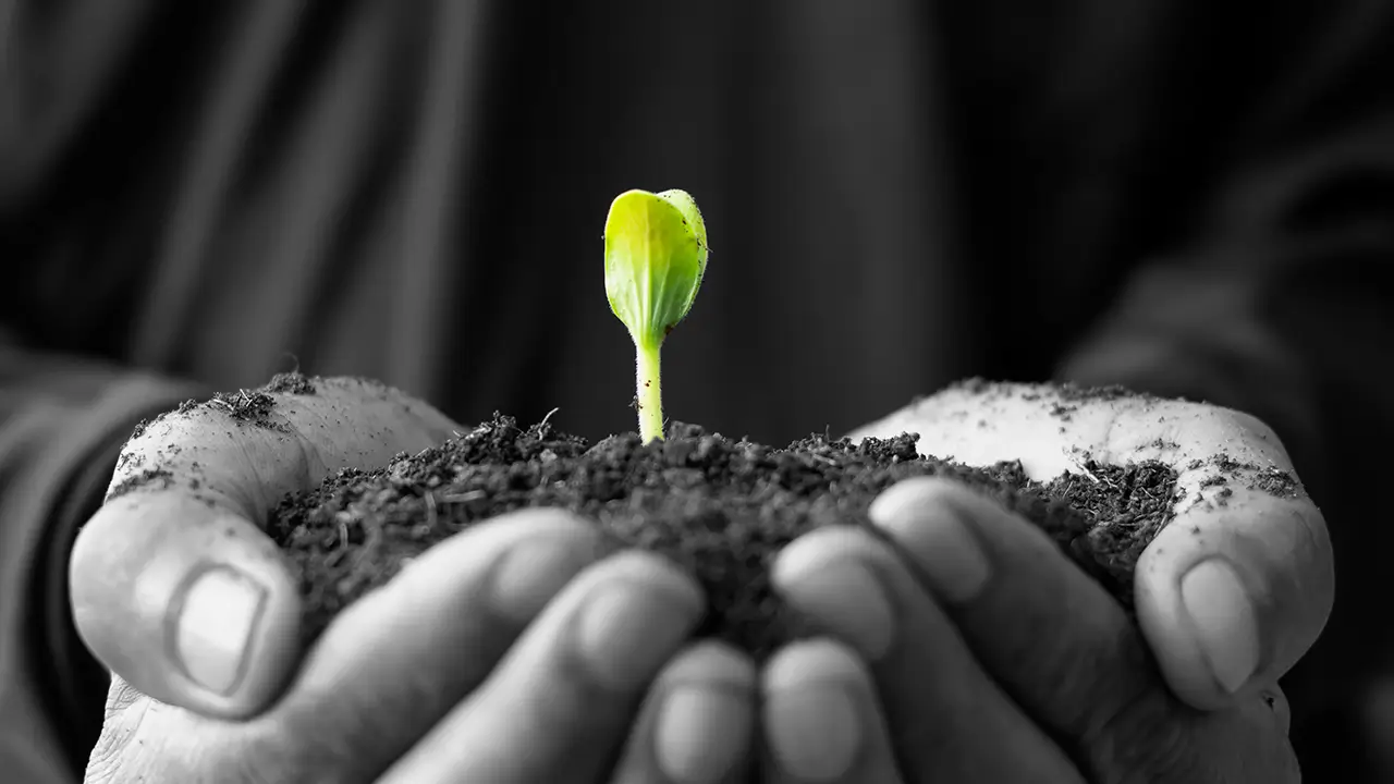 esg supply chain due diligence