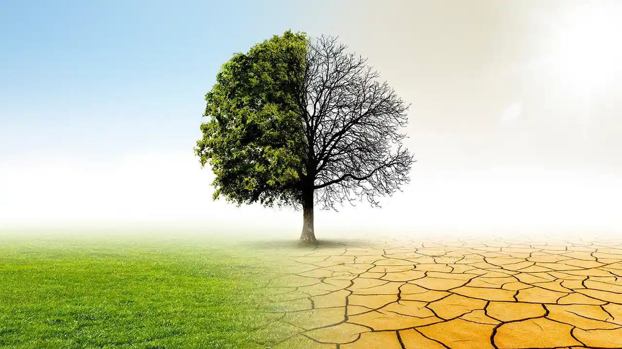 COP15 and COP16