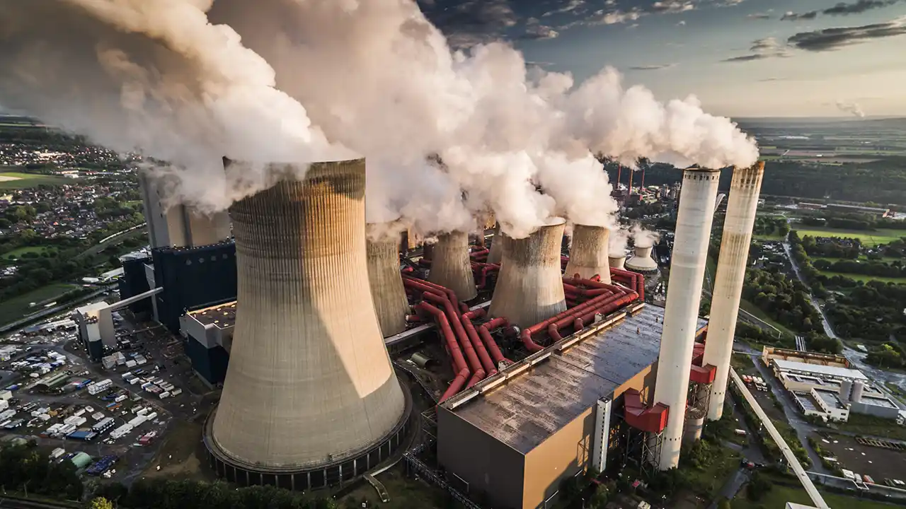 carbon credit market